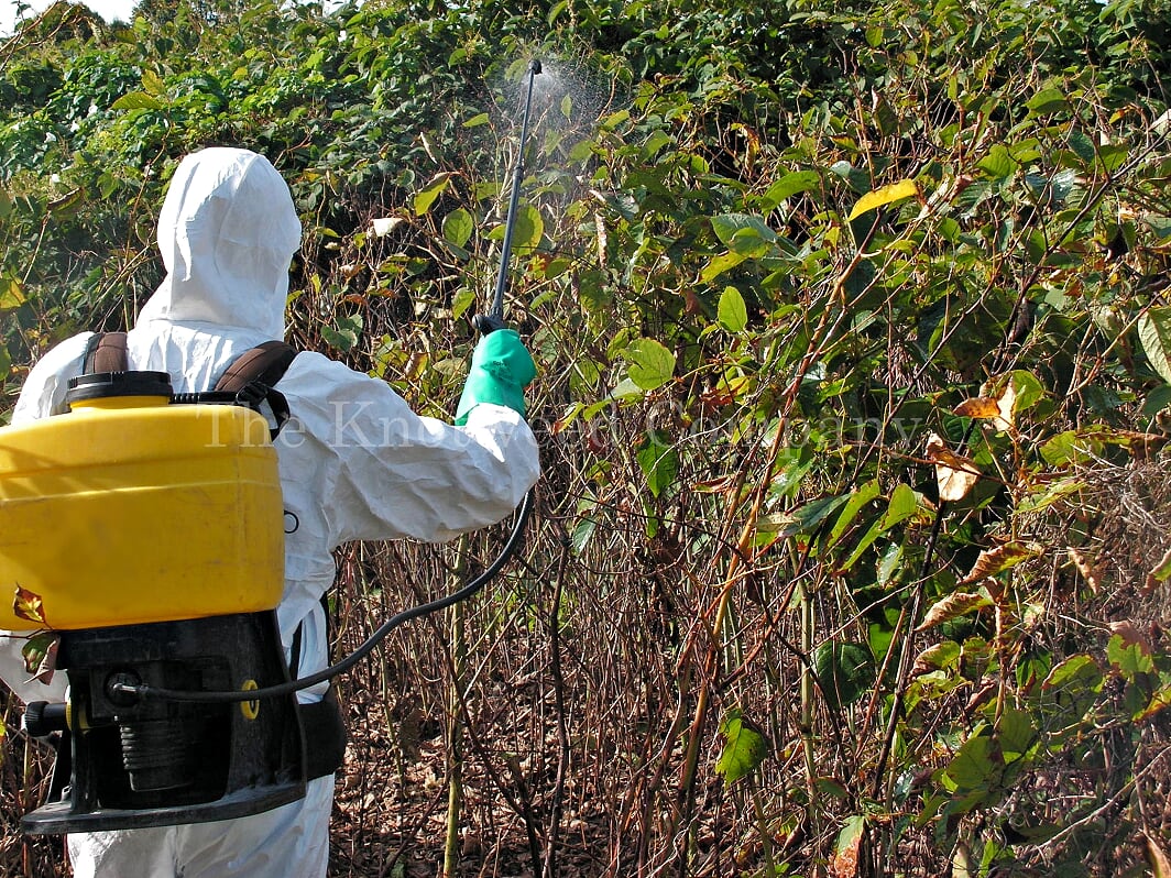 Spraying with a herbicide